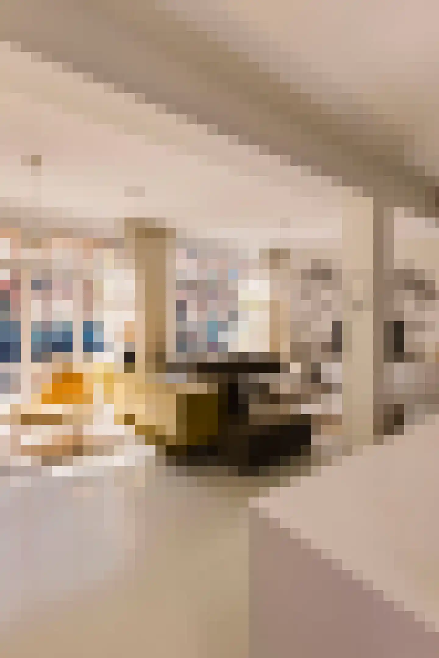 Sluisstraat 64 H Amsterdam thumbnail 15