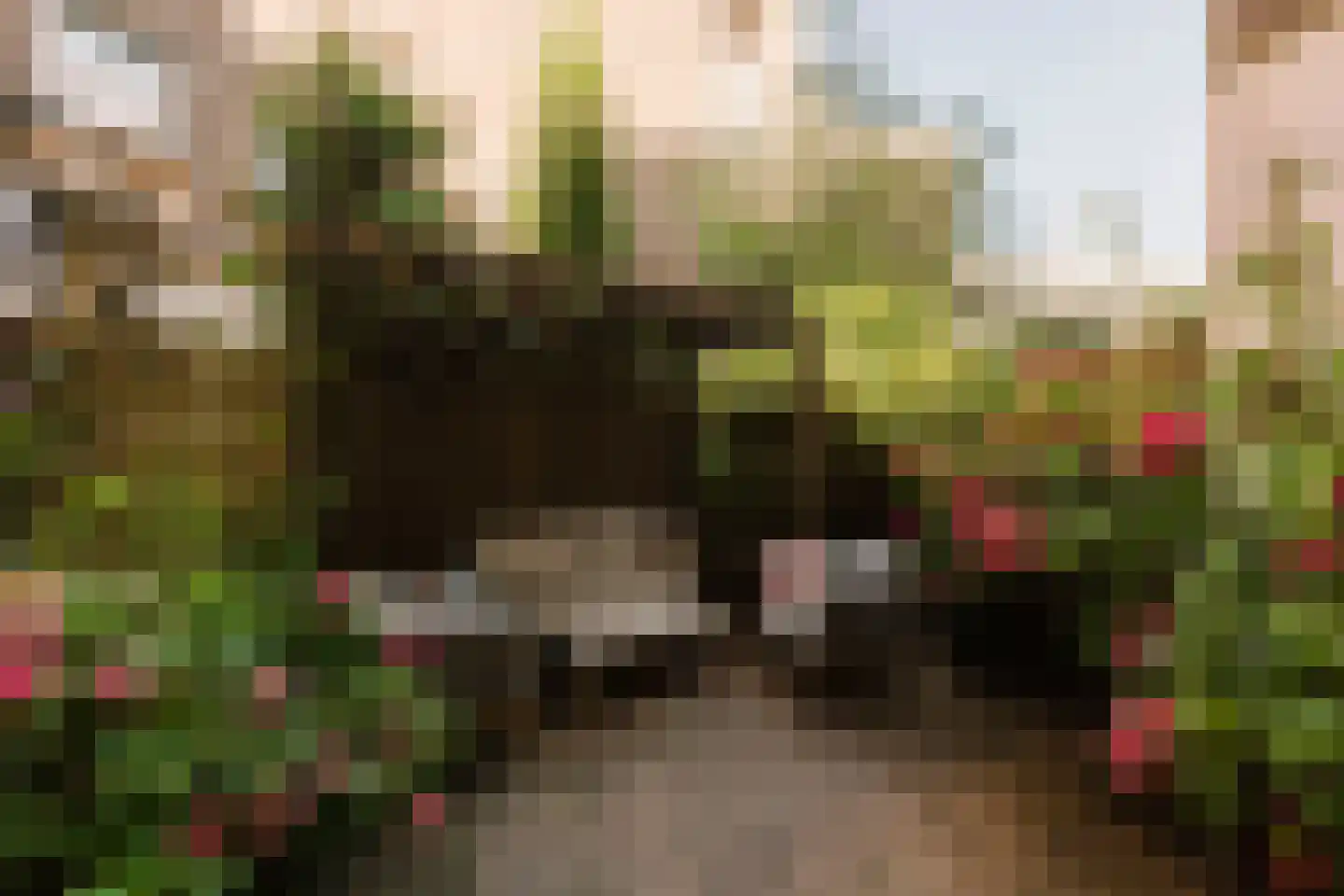 Sluisstraat 64 H Amsterdam thumbnail 25