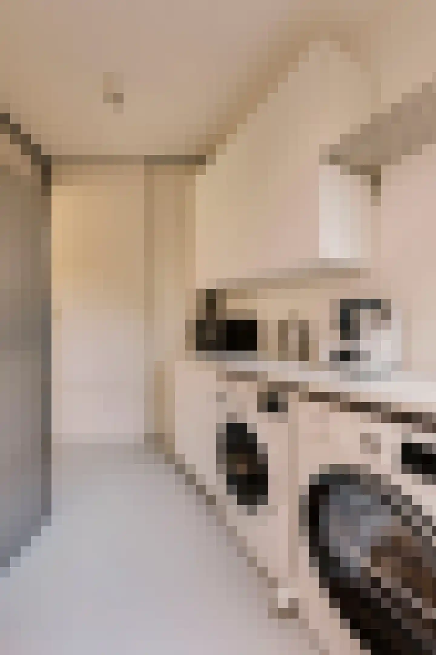 Sluisstraat 64 H Amsterdam thumbnail 28
