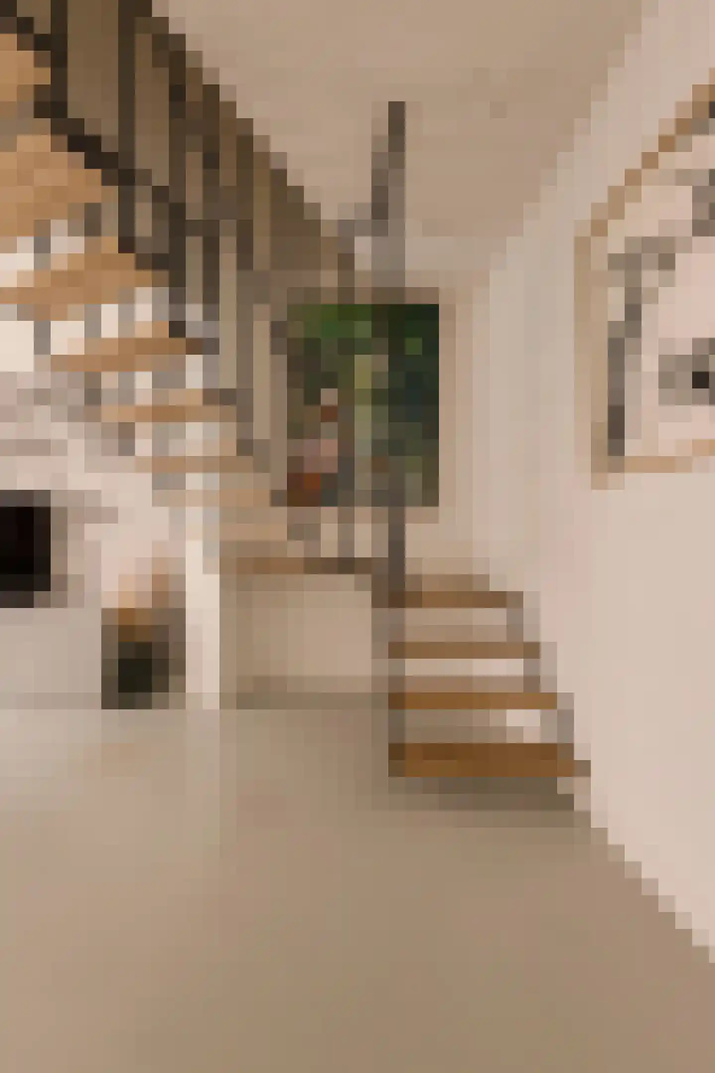 Sluisstraat 64 H Amsterdam thumbnail 30