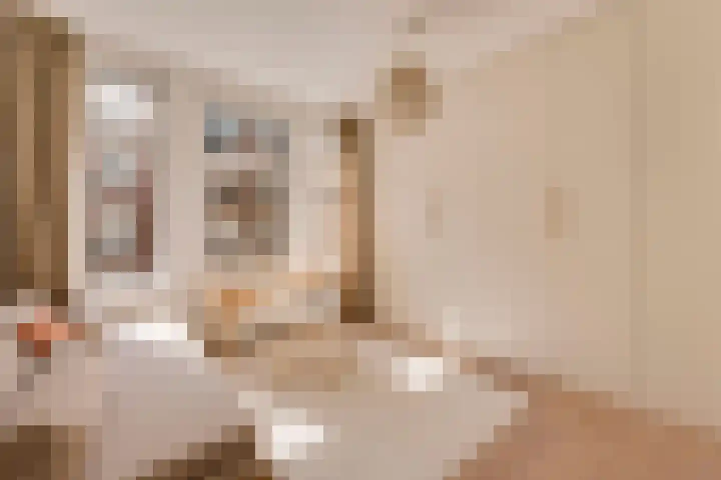 Sluisstraat 64 H Amsterdam thumbnail 36