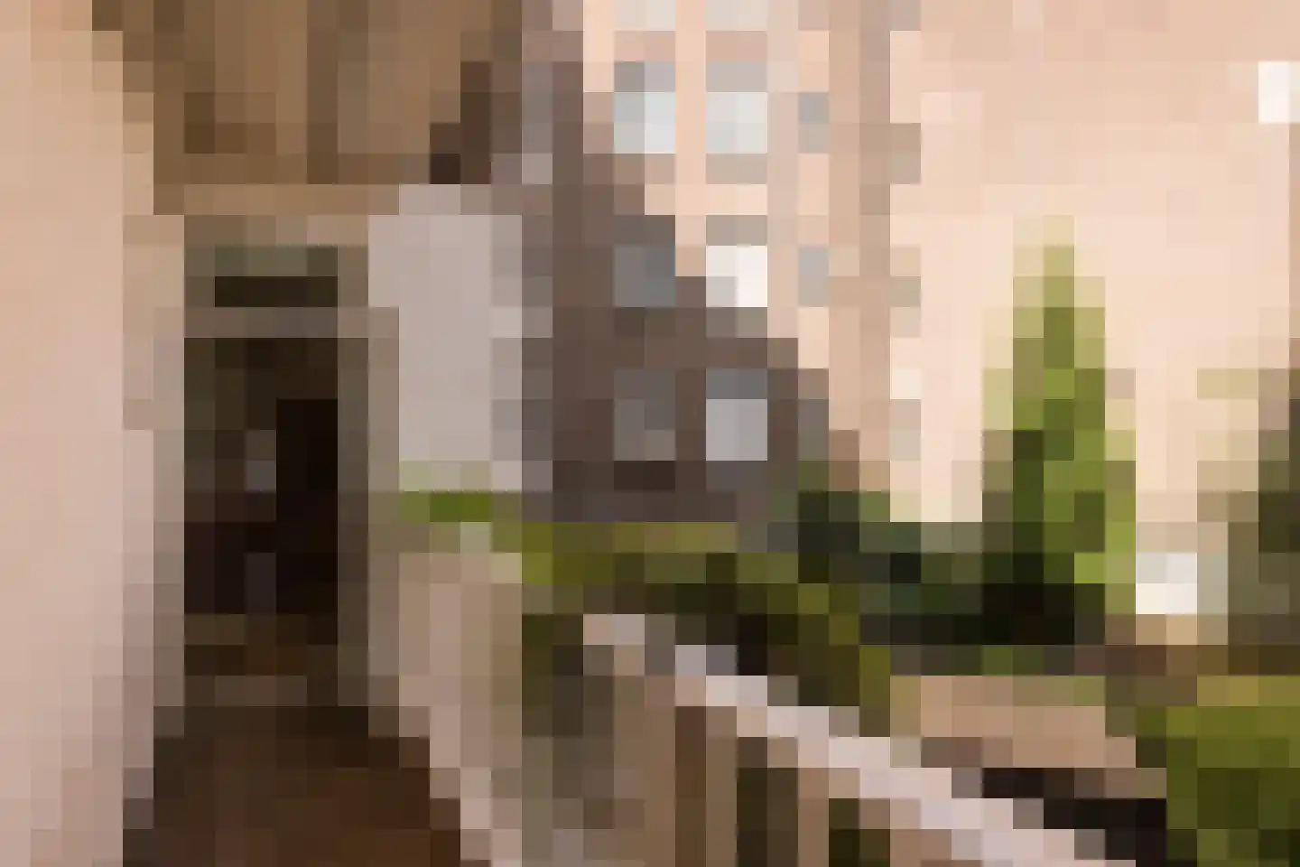 Sluisstraat 64 H Amsterdam thumbnail 45