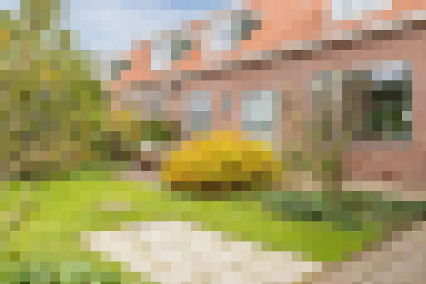 Sluisstraat 7 Oostknollendam thumbnail 55