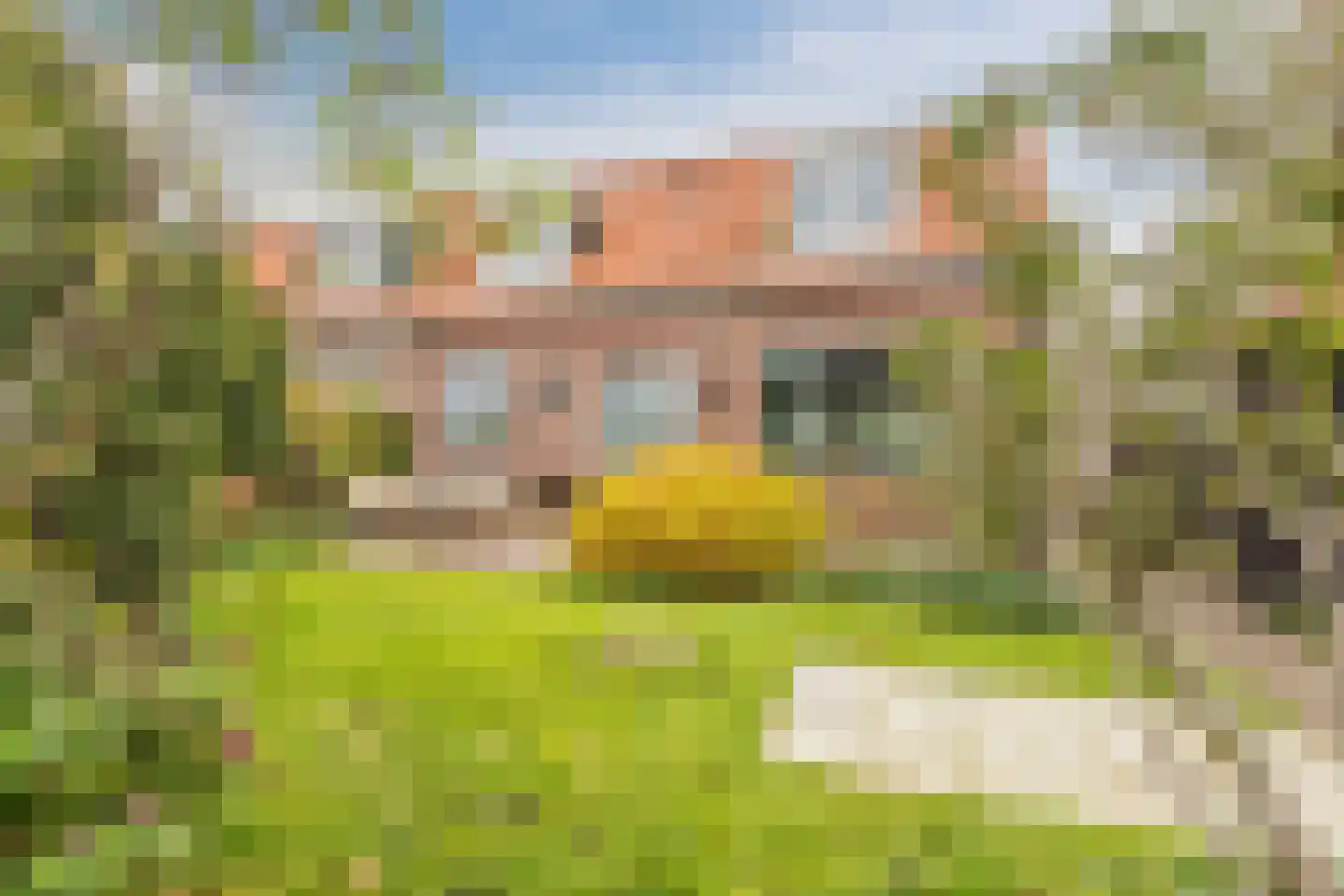 Sluisstraat 7 Oostknollendam thumbnail 58