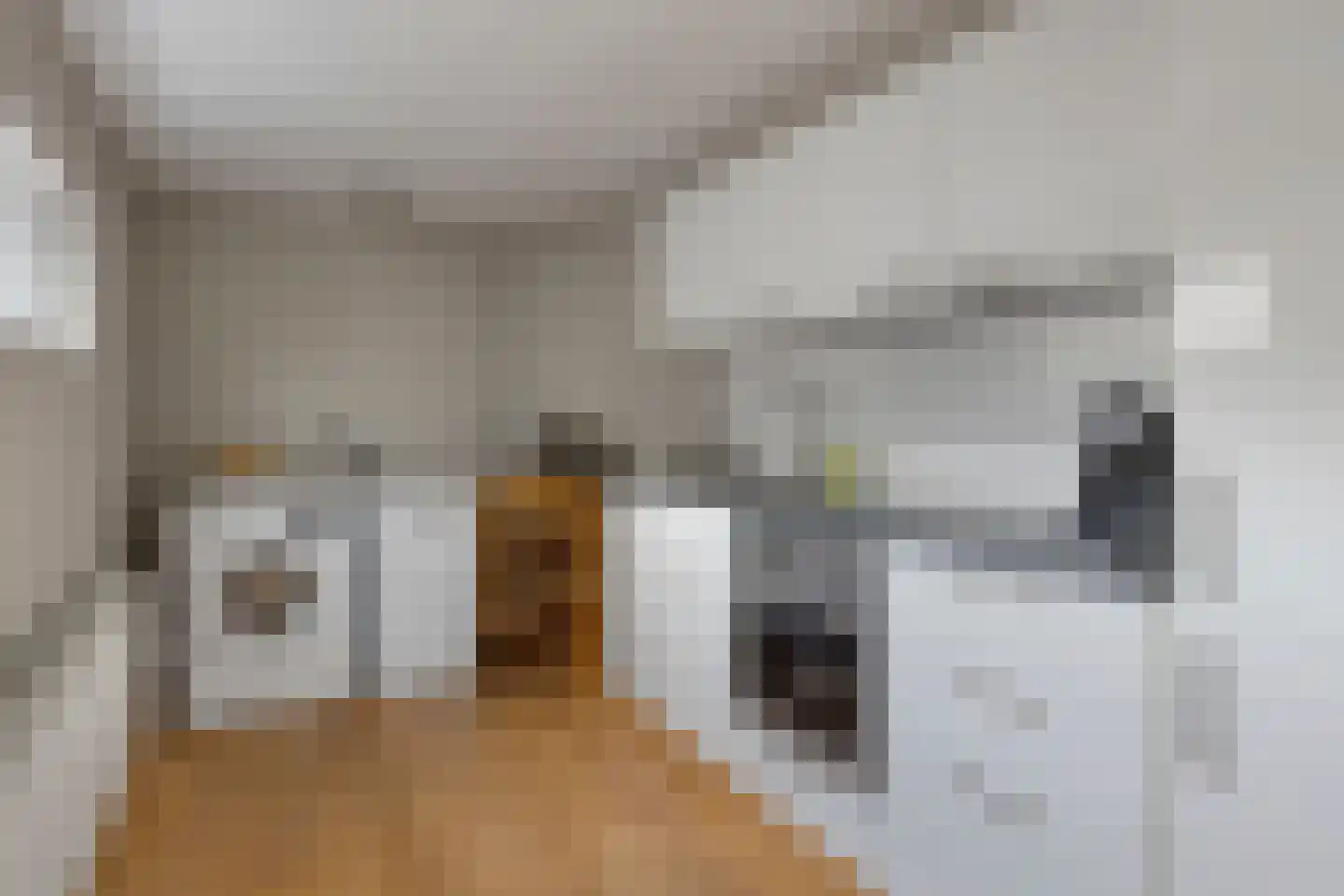 Sluisstraat 72 Geldrop thumbnail 21
