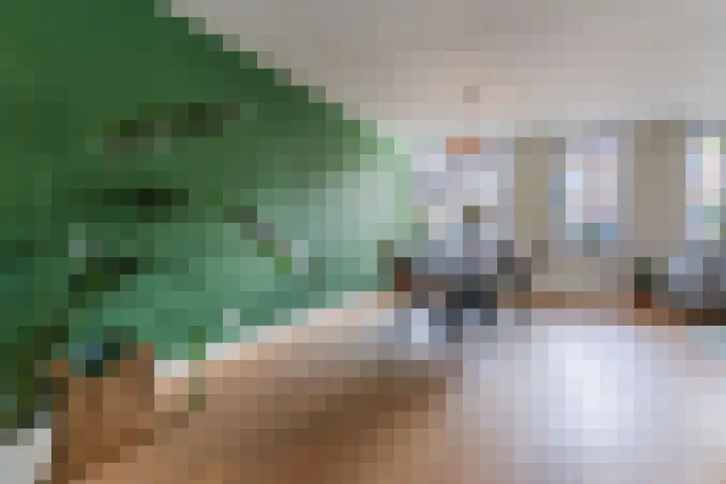 Sluisstraat 74 Geldrop thumbnail 18