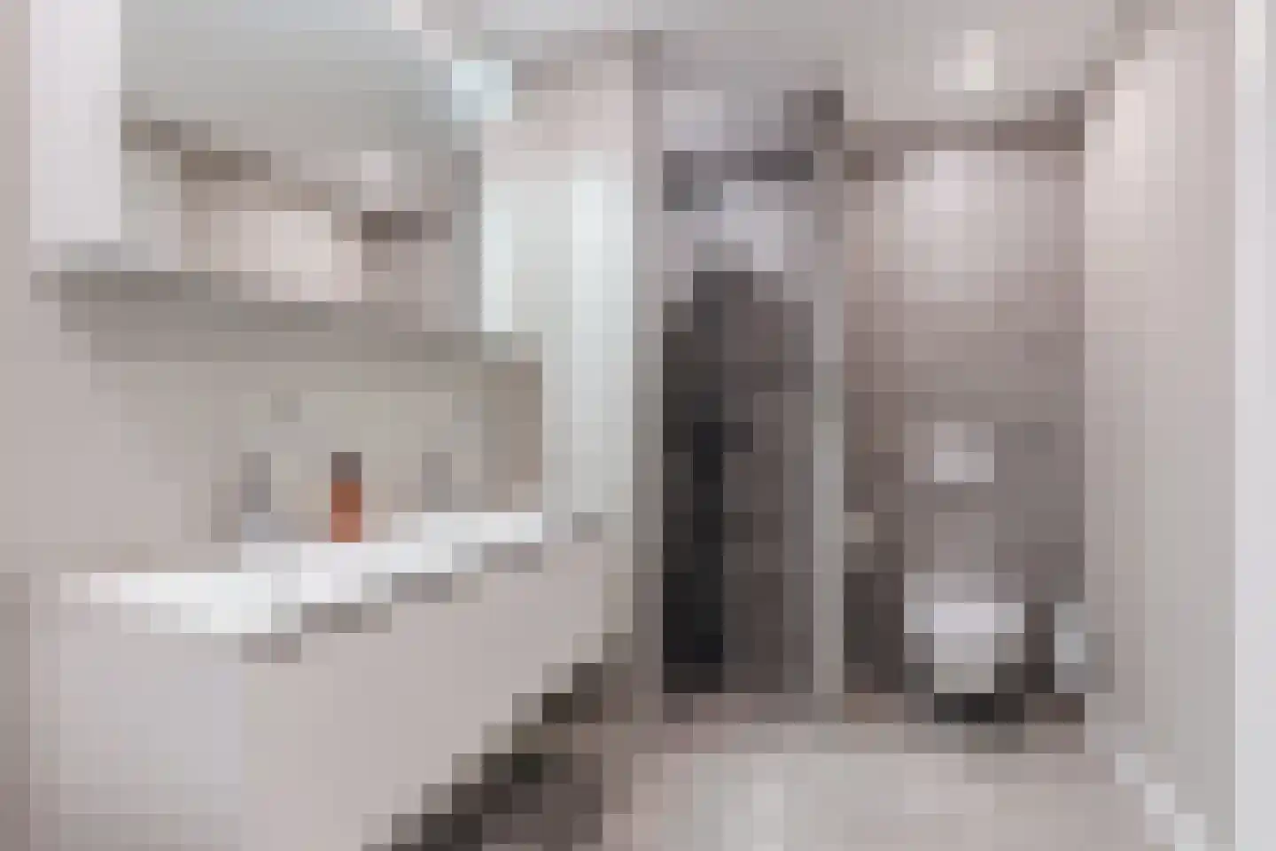 Sluisstraat 74 Geldrop thumbnail 44
