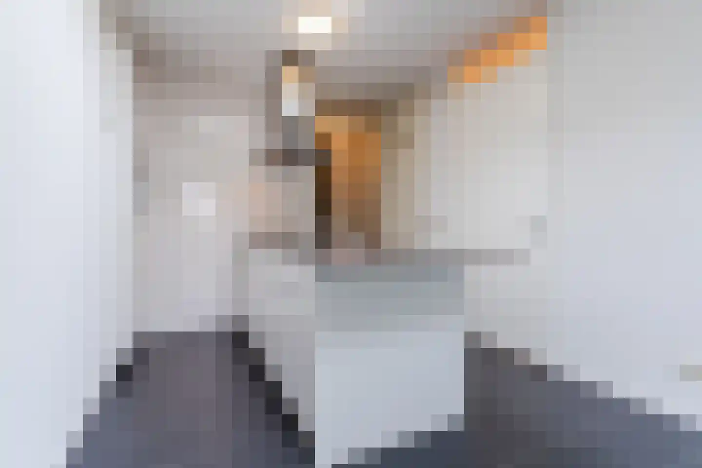 Sluisstraat 89 Veghel thumbnail 15