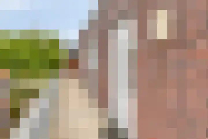 Sluisstraat 92 Veghel thumbnail 9