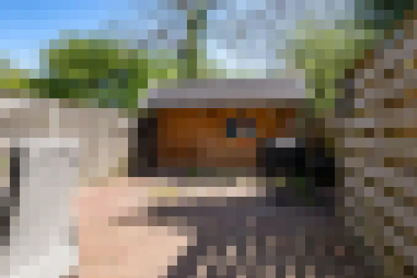 Sluiswaard 152 Alkmaar thumbnail 39