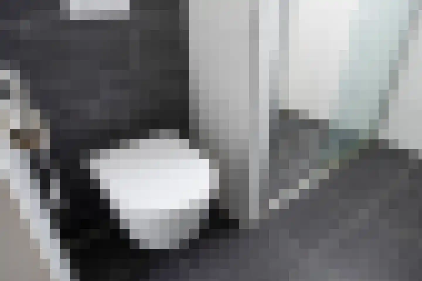 Sluiswachterstraat 25 Delfgauw thumbnail 22