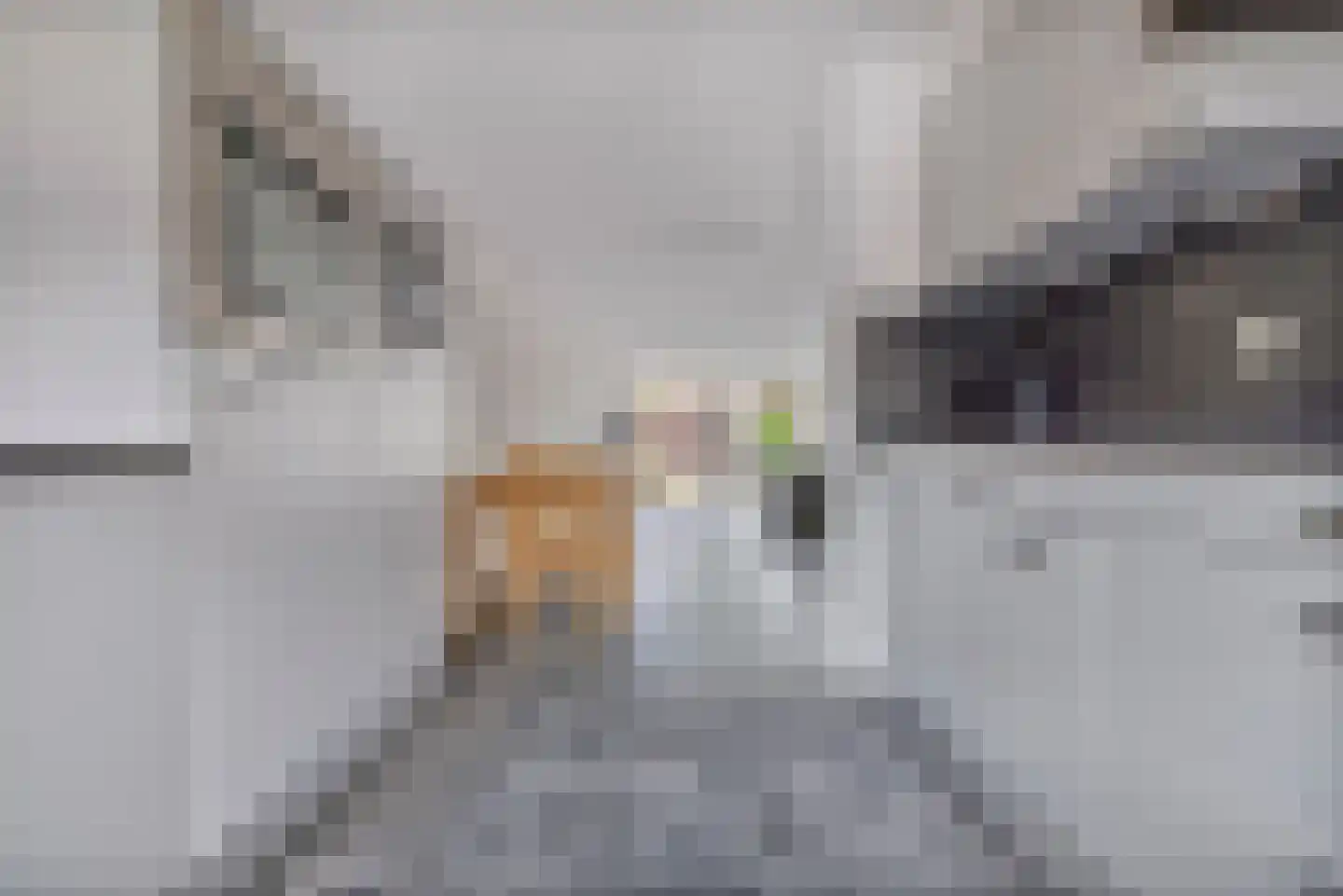 Sluiswachterstraat 25 Delfgauw thumbnail 9