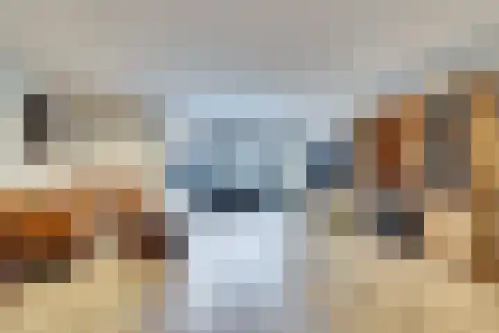 Sluiswachterstraat 4 Delfgauw thumbnail 21