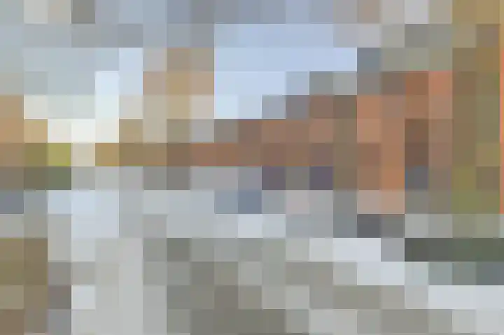 Sluiswachterstraat 4 Delfgauw thumbnail 7
