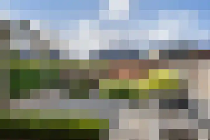 Sluiswachterstraat 5 's-Gravenzande thumbnail 6