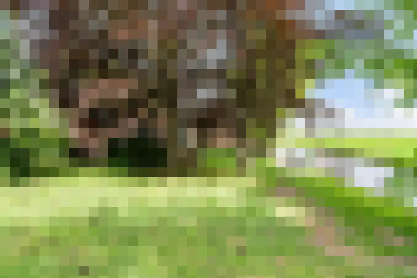 Sluisweg 10 Oldeouwer thumbnail 21