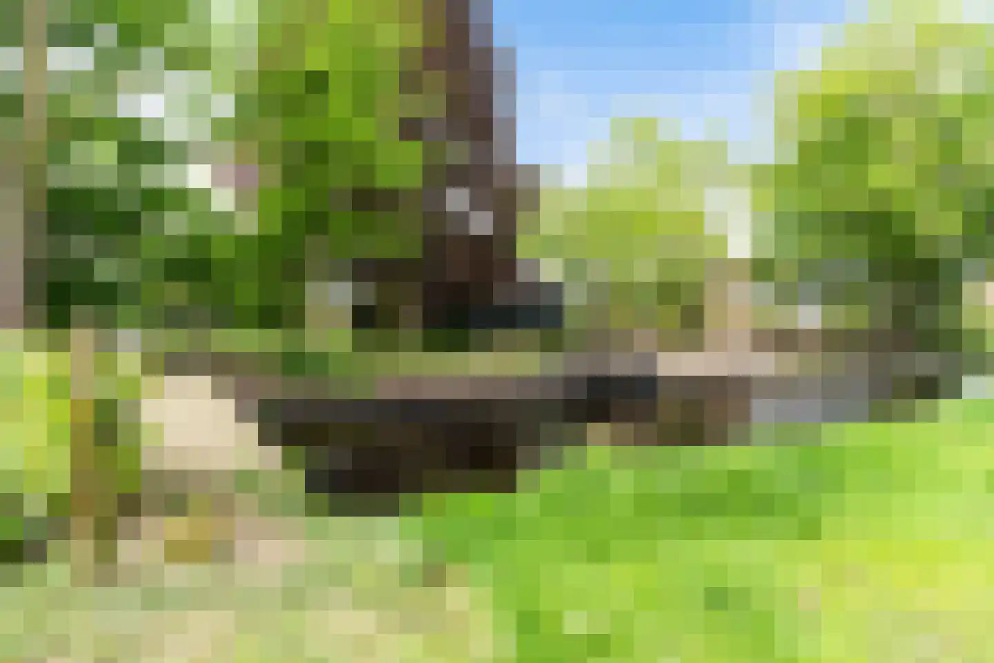 Sluisweg 10 Oldeouwer thumbnail 22