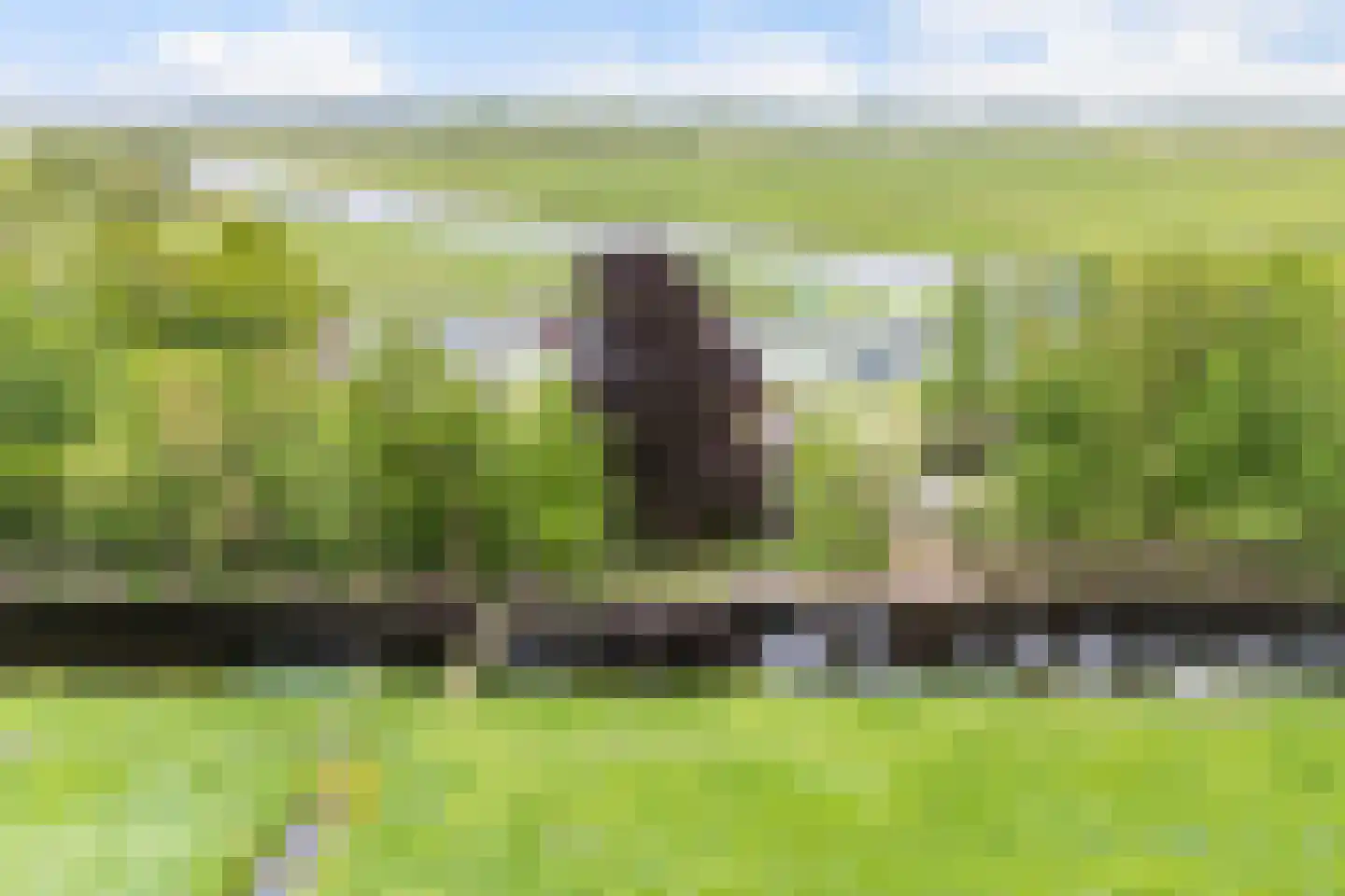 Sluisweg 10 Oldeouwer thumbnail 41