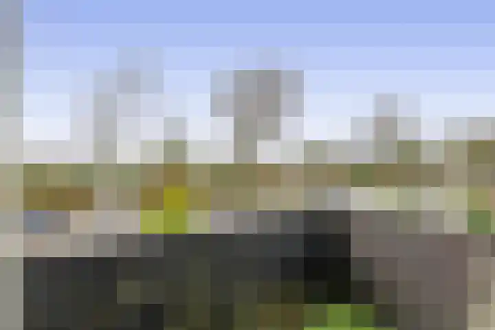 Sluisweg 11 Zwartewaal thumbnail 44