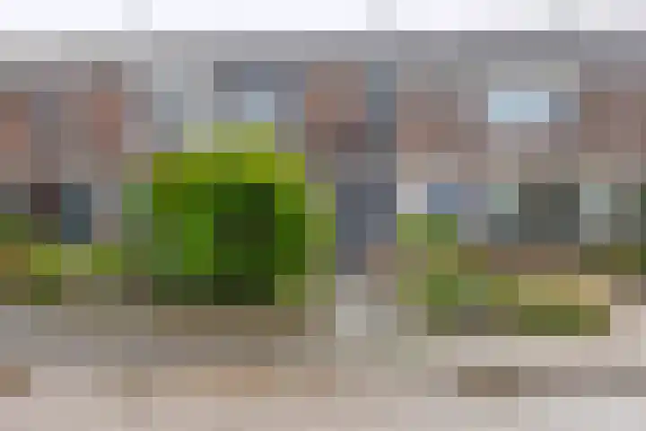Sluisweg 11 Zwartewaal thumbnail 6
