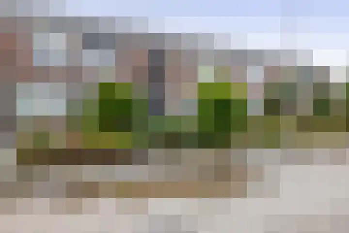 Sluisweg 11 Zwartewaal thumbnail 7