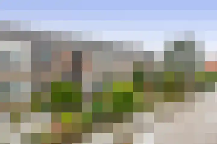 Sluisweg 11 Zwartewaal thumbnail 8