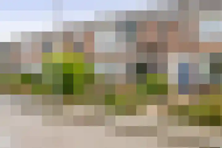 Sluisweg 11 Zwartewaal thumbnail 9