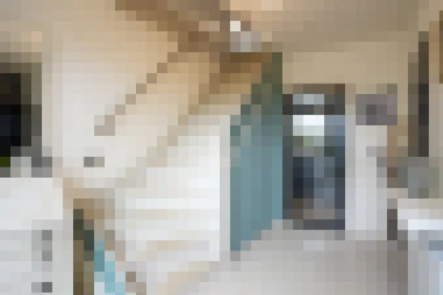 Sluisweg 14 Born thumbnail 14