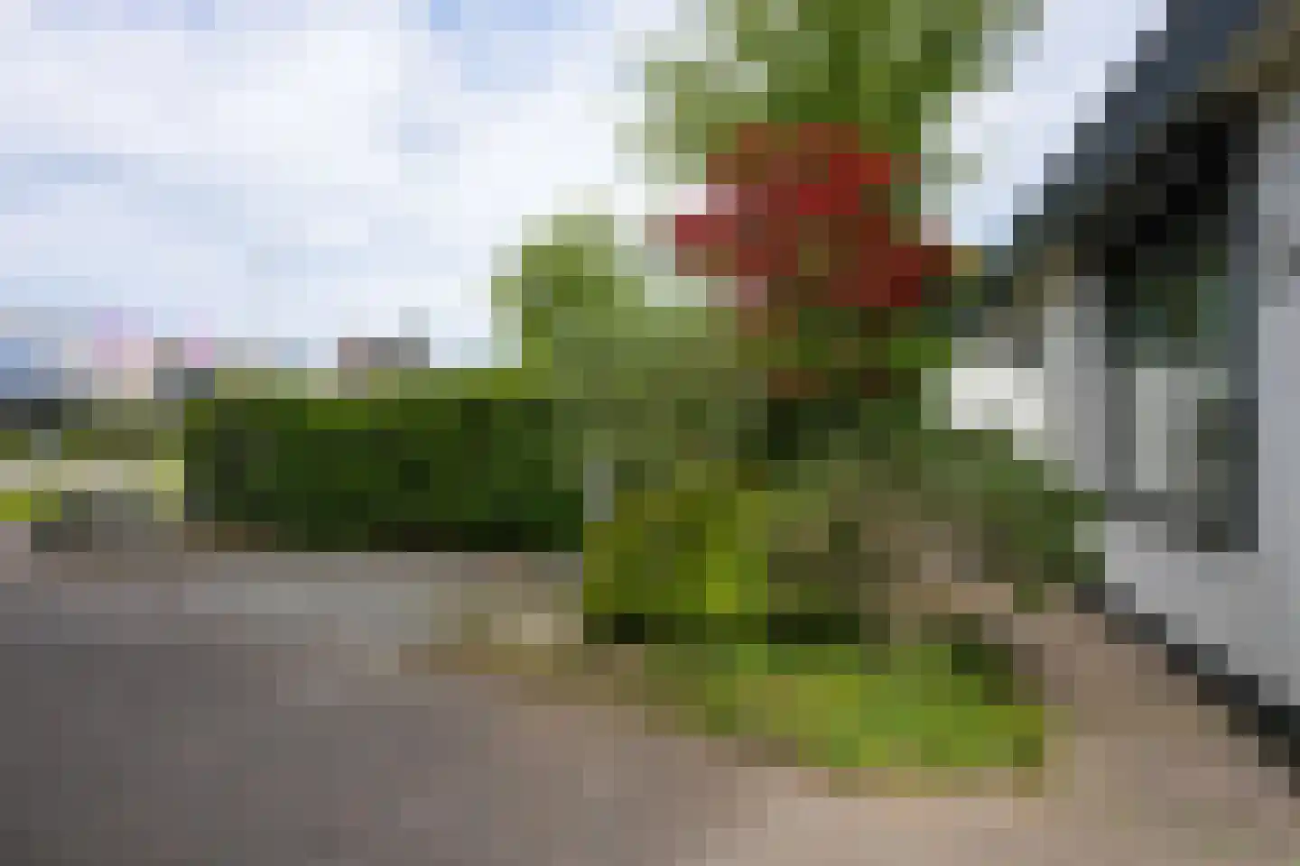 Sluisweg 14 Born thumbnail 41