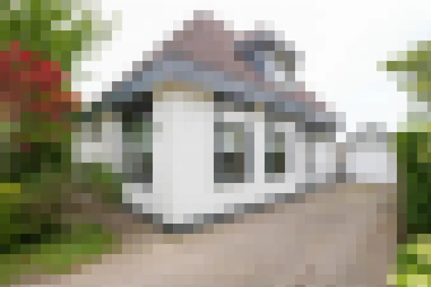 Sluisweg 14 Born thumbnail 43