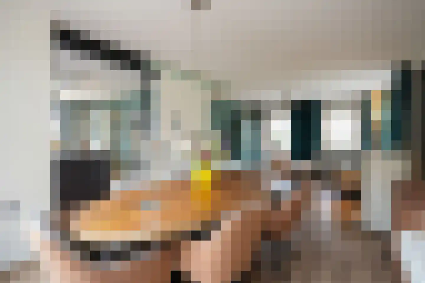 Sluisweg 14 Born thumbnail 6