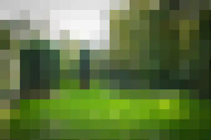 Sluisweg 30 Alphen thumbnail 42