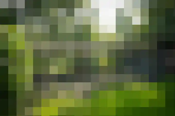 Sluisweg 30 Alphen thumbnail 43