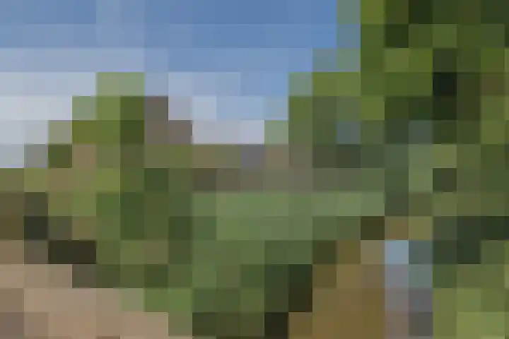 Sluisweg 38 Dongen thumbnail 5