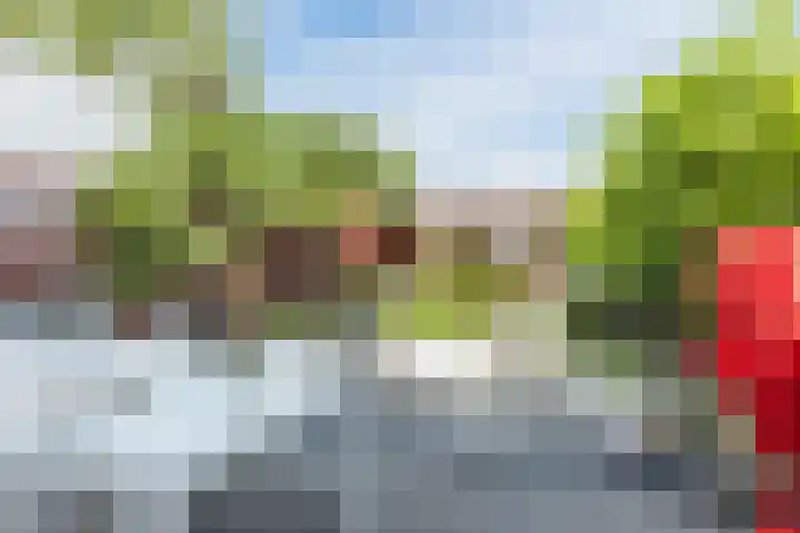 Sluisweg 48 A Dongen thumbnail 12