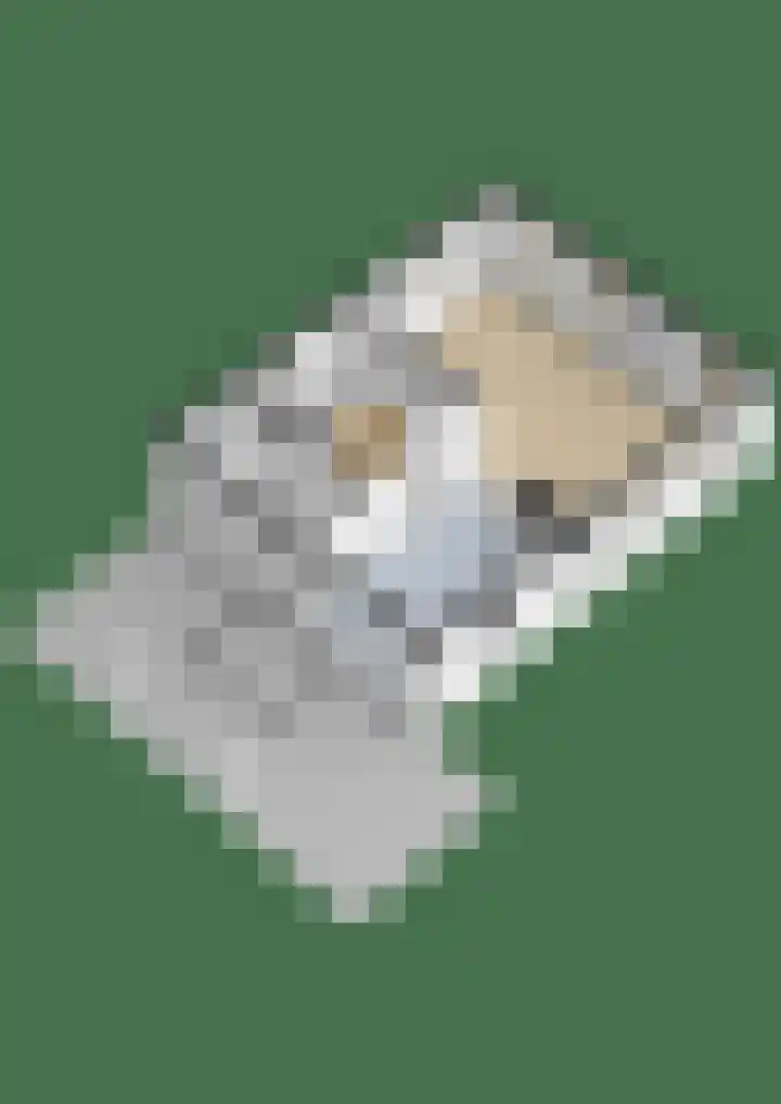 Sluisweg 54 a Kiel-Windeweer thumbnail 81