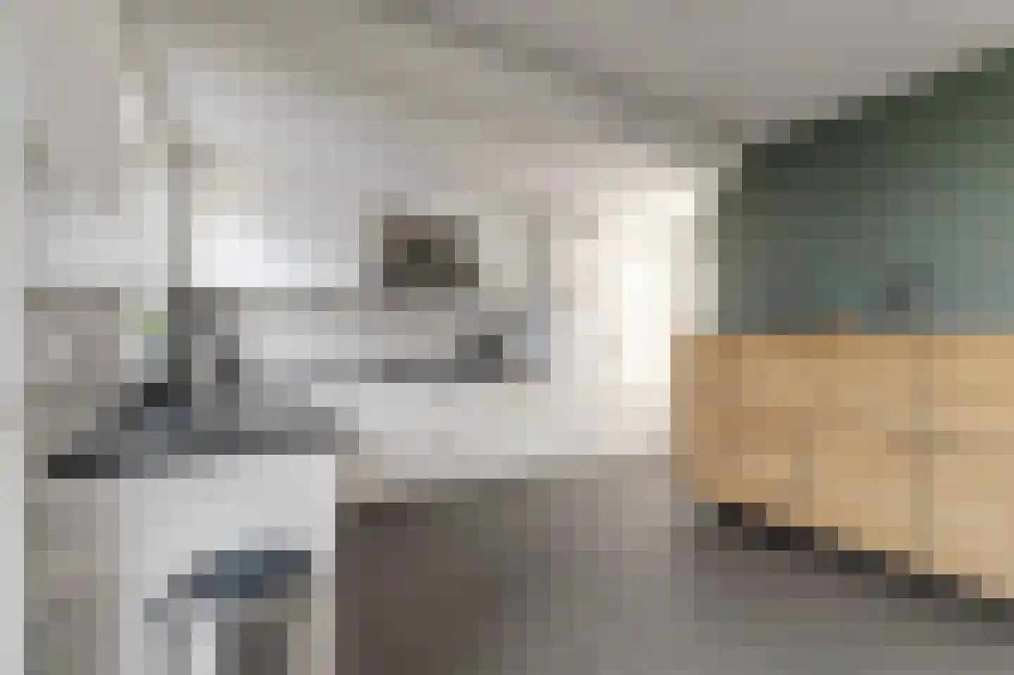 Sluisweg 6 Dongen thumbnail 18