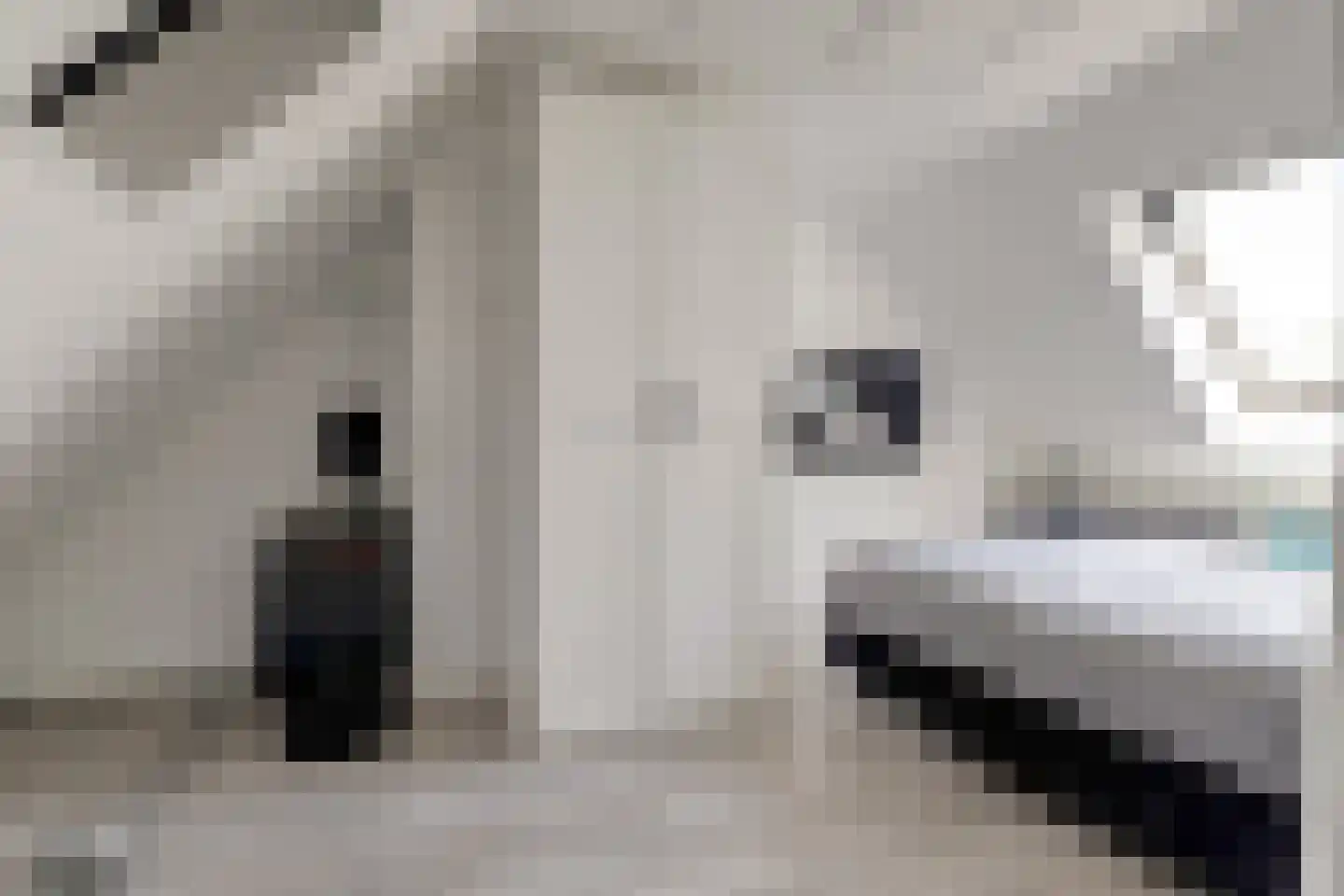 Sluisweg 6 Dongen thumbnail 34