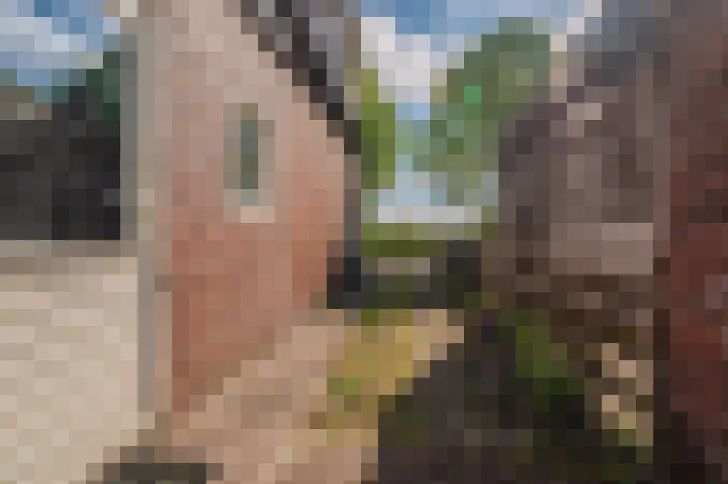 Sluisweg 62 Veendam thumbnail 11