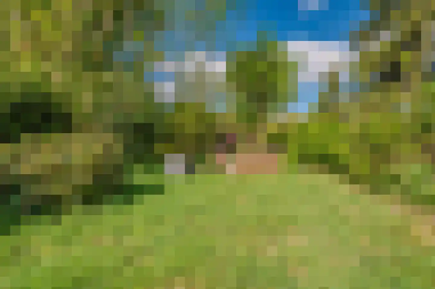 Sluisweg 62 Veendam thumbnail 36