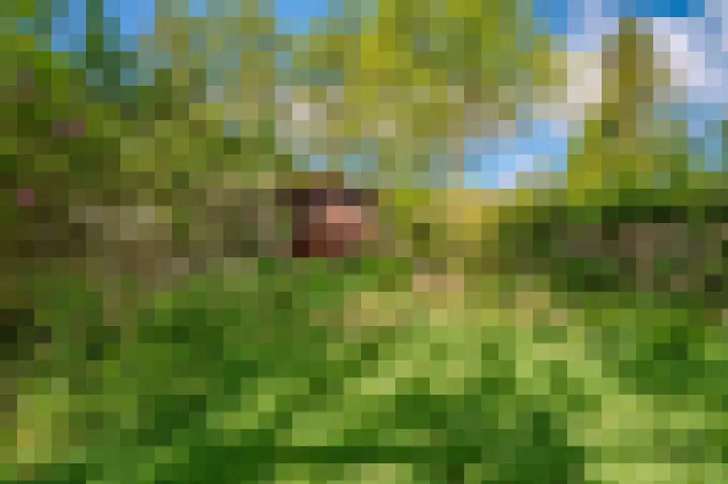 Sluisweg 62 Veendam thumbnail 37