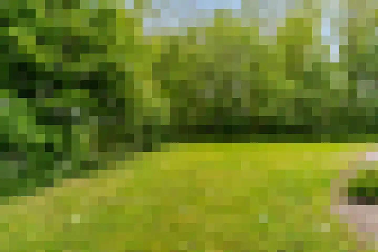 Sluisweg 8 Oldeouwer thumbnail 46
