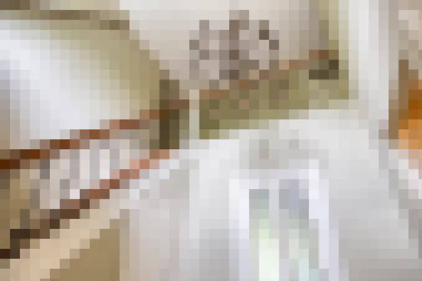 Sluitappel 19 Sint-Oedenrode thumbnail 11