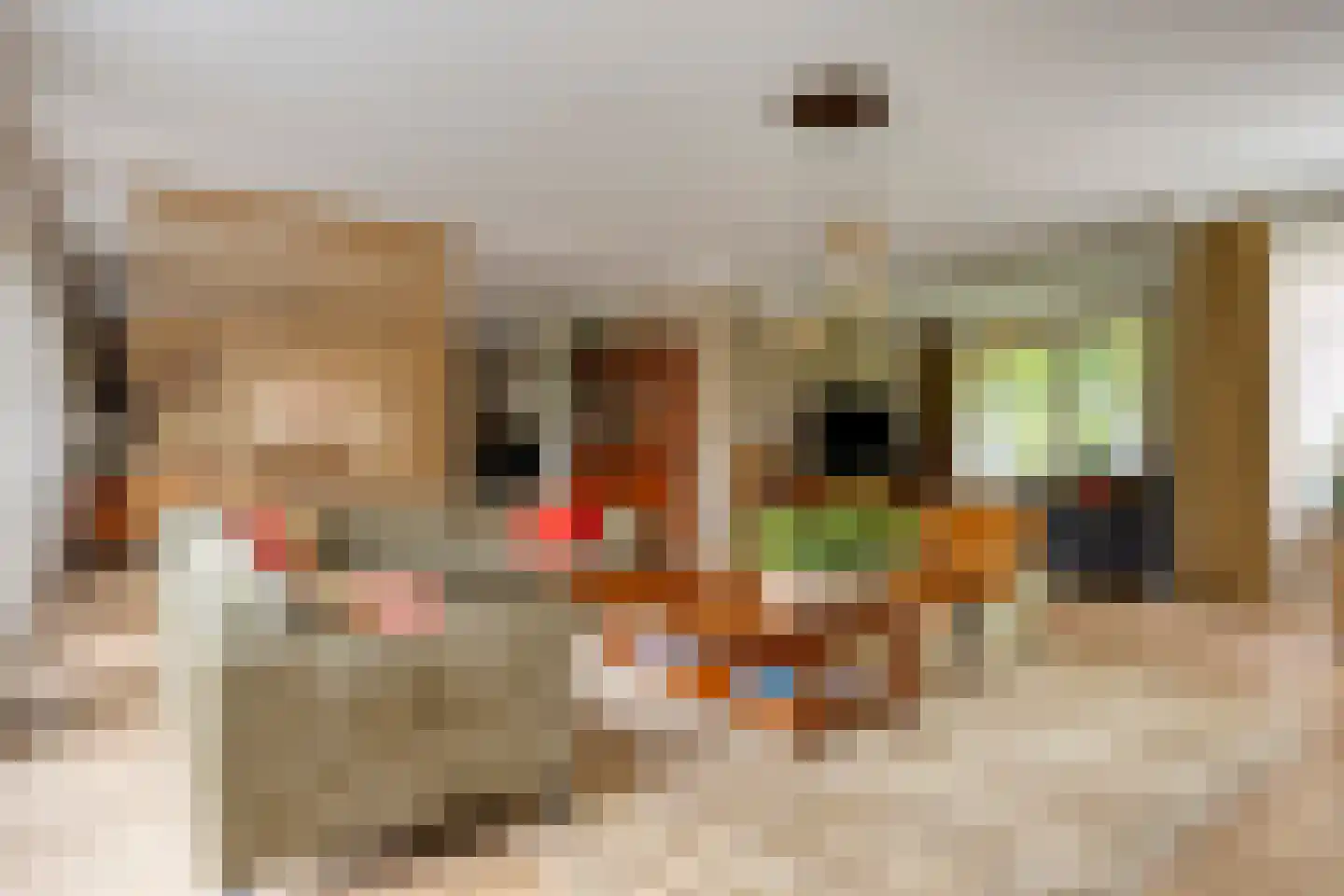 Sluitappel 19 Sint-Oedenrode thumbnail 21