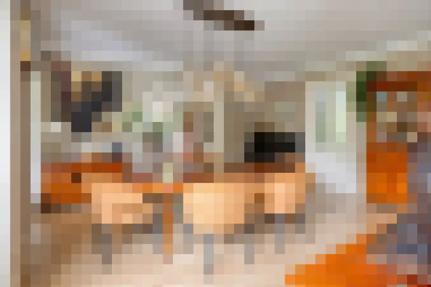 Sluitappel 19 Sint-Oedenrode thumbnail 24