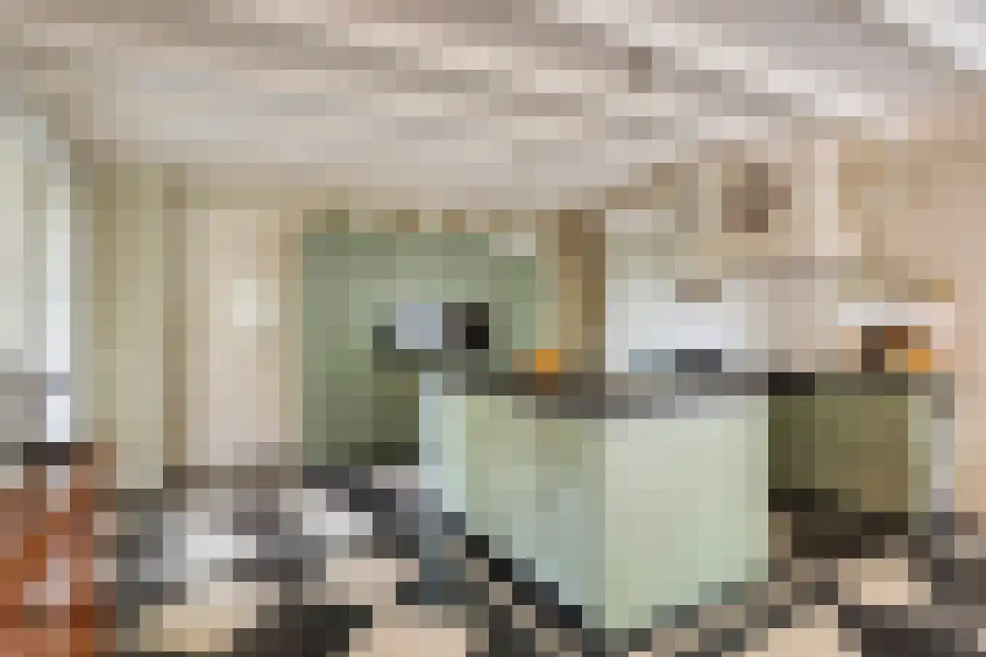 Sluitappel 19 Sint-Oedenrode thumbnail 27