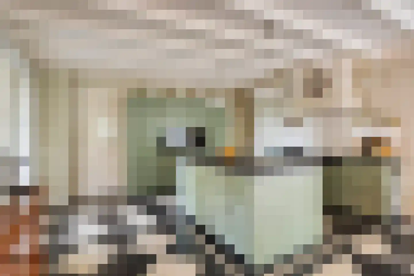 Sluitappel 19 Sint-Oedenrode thumbnail 28