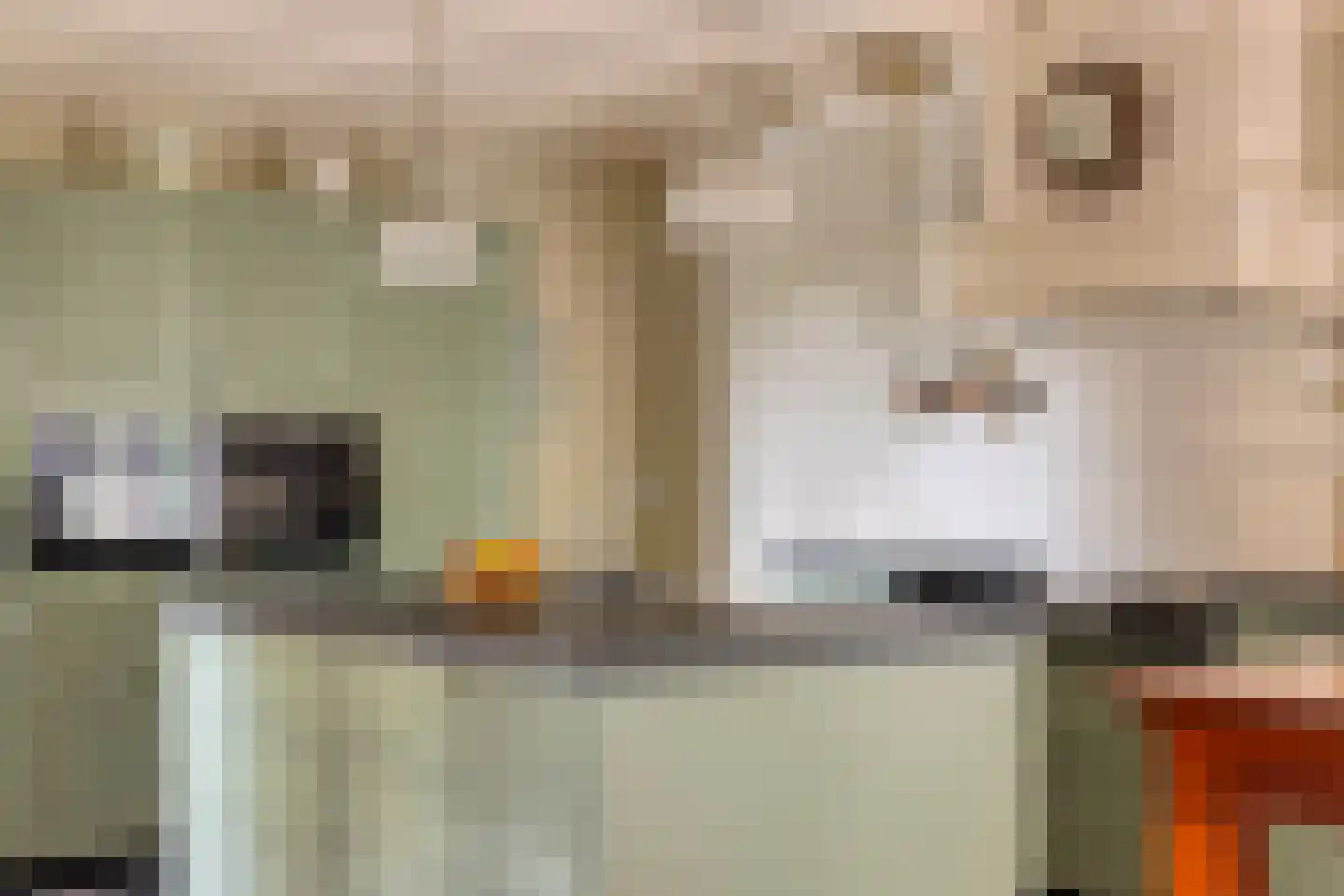 Sluitappel 19 Sint-Oedenrode thumbnail 29