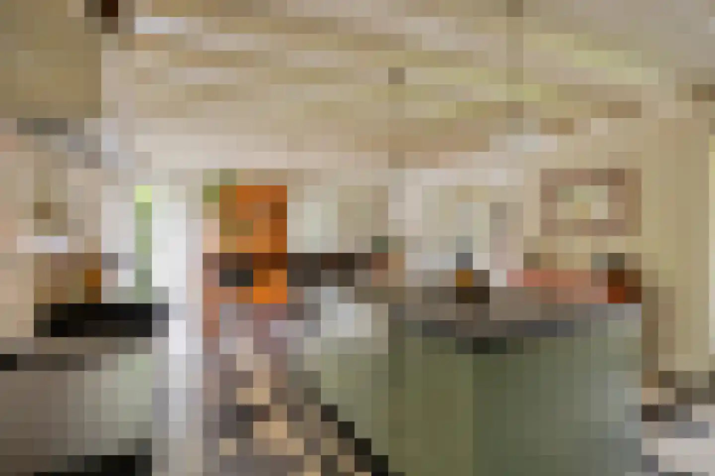 Sluitappel 19 Sint-Oedenrode thumbnail 31