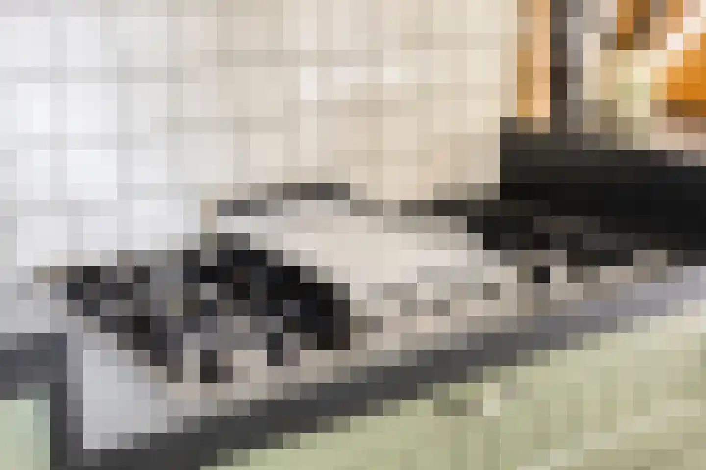 Sluitappel 19 Sint-Oedenrode thumbnail 33